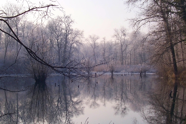 Bild 044.jpg - Winter im Naturschutzgebiet Taubergießen beim Europa-Park Rust